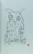 Blind Drawings